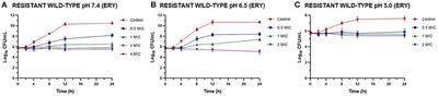 In vitro synergistic interaction between Melaleuca armillaris essential oil and erythromycin against Staphylococcus aureus isolated from dairy cows